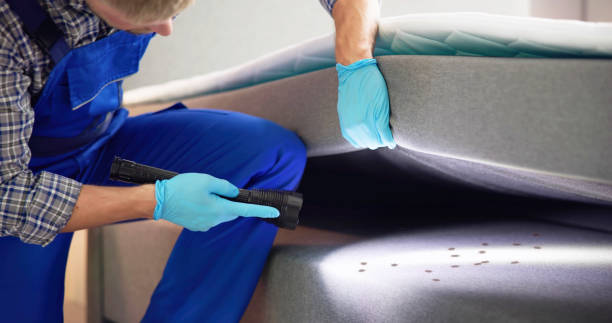 Best Pest Control Cost  in Battlefield, MO